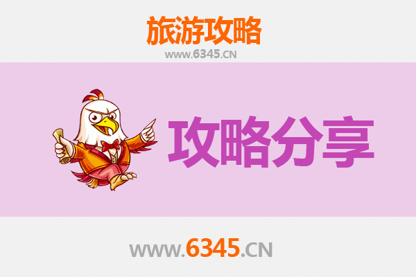 驻马店汝南至湄洲岛旅游攻略：跟团还是自由行选择指南